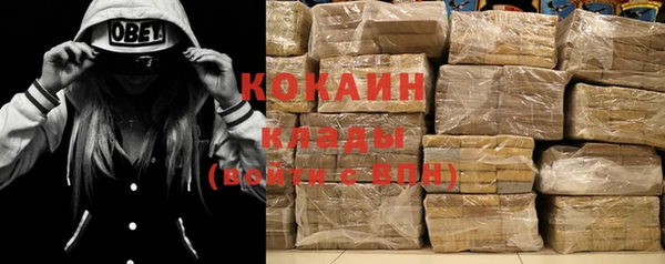 мдпв Белокуриха