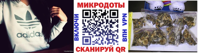 сайты даркнета официальный сайт  Онега  Галлюциногенные грибы мицелий 